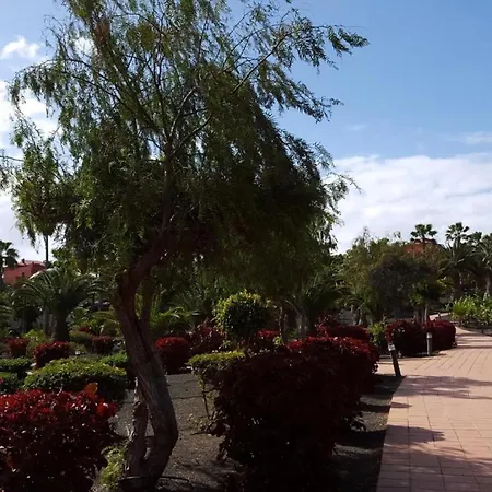Apartmán Oasis Royal 1d Corralejo